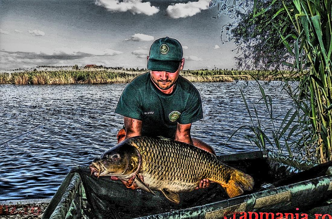 Crapmania (3) - 2013 - 1010468hdrmode2.JPG